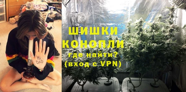 каннабис Богданович